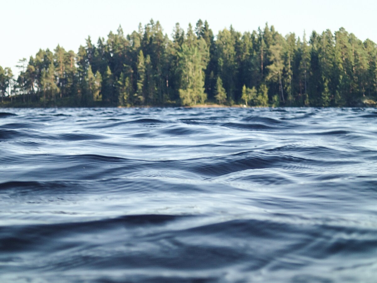 Sink or Swim: Impact of Clothing Material to the Aquatic Necrobiome