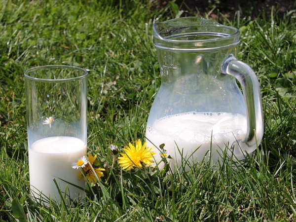Milk It for All It’s Worth: How Skim Milk Increases DNA Yield from Soil Samples
